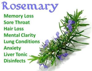 rosemary benefits2